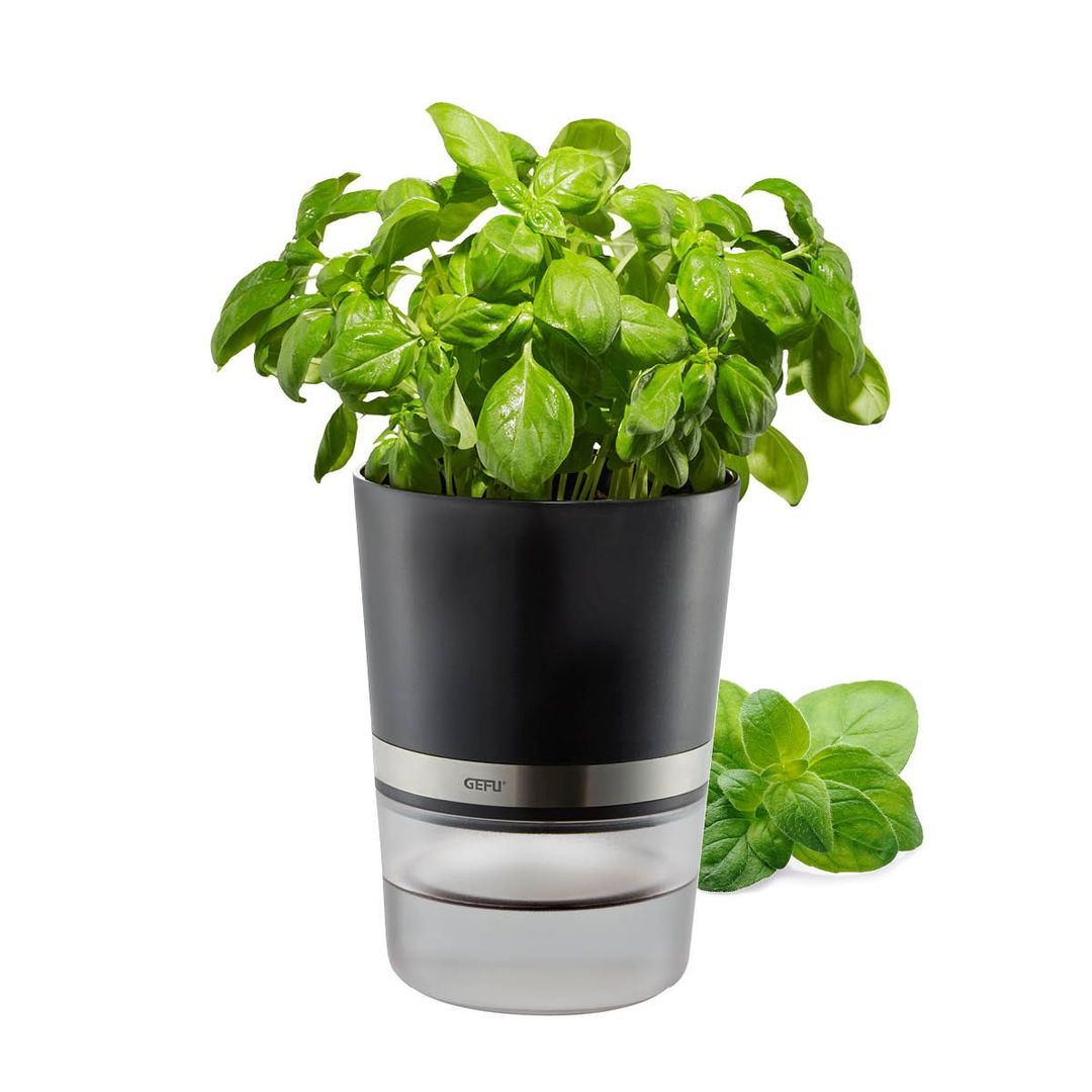 Produkt Kräutertopf BOTANICO