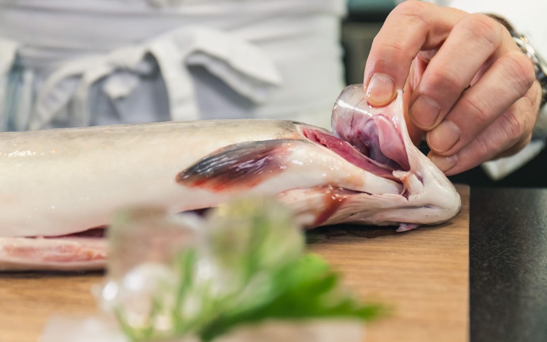 Fisch Basics