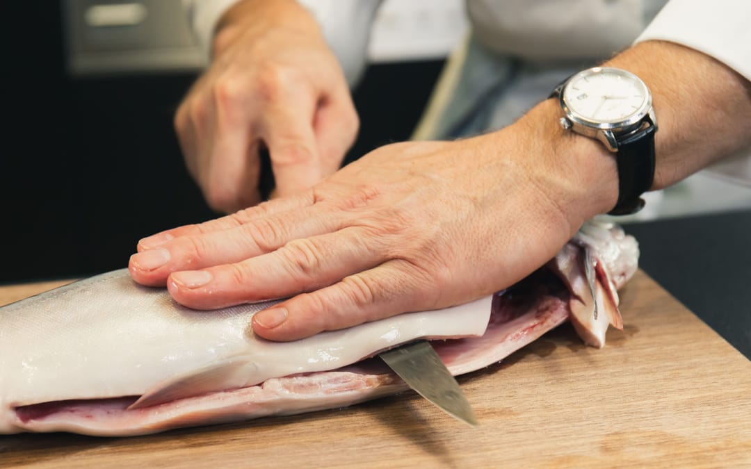 Fisch Basics