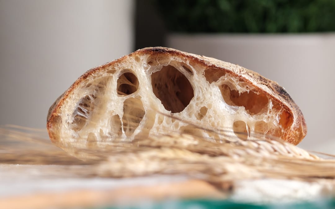 Open Crumb