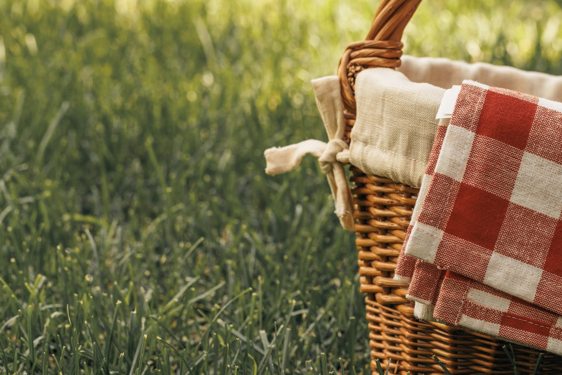 Dein perfektes Picknick im Grünen!
