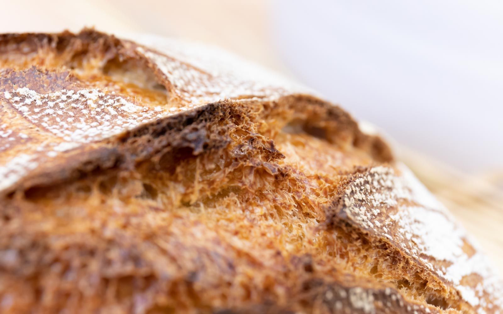7hauben kochen