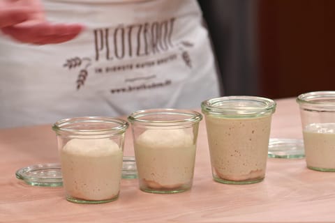 Reifestadien des Sauerteiges