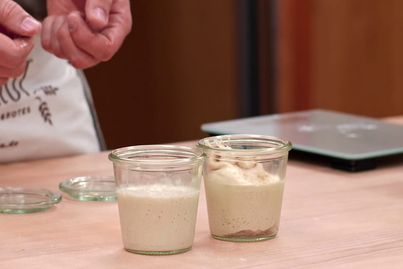 Sauerteige umzüchten